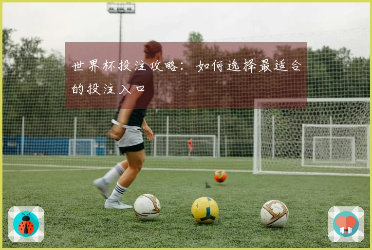 世界杯投注攻略：如何选择最适合的投注入口