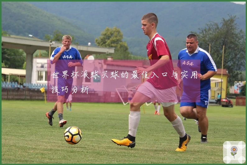 世界杯滚球买球的最佳入口与实用技巧分析