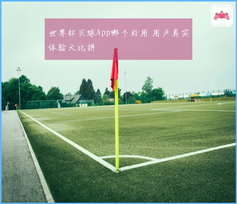 世界杯买球App哪个好用 用户真实体验大比拼