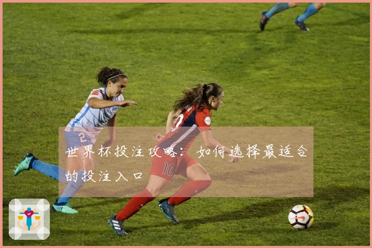 世界杯投注攻略：如何选择最适合的投注入口